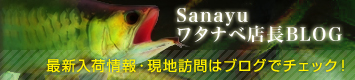 アジアアロワナブログへ