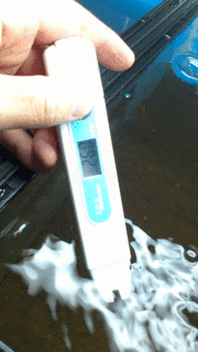 DSC_0377.gif
