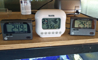 suion.gif