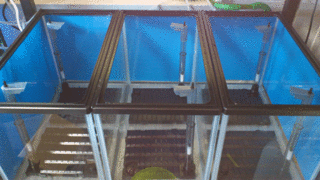 suisou.gif